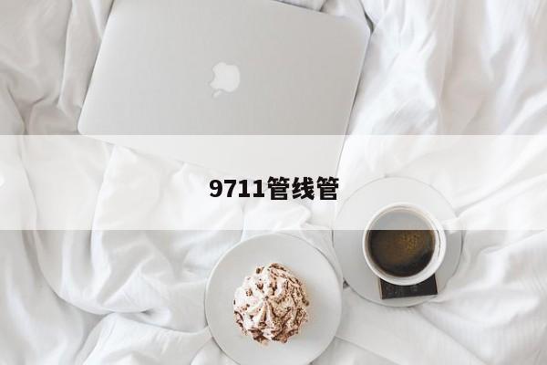 9711管线管